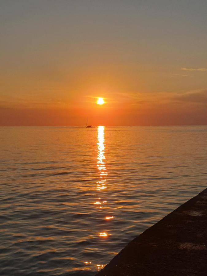 Youth Hostel Pinesta Novigrad Istria Exteriér fotografie